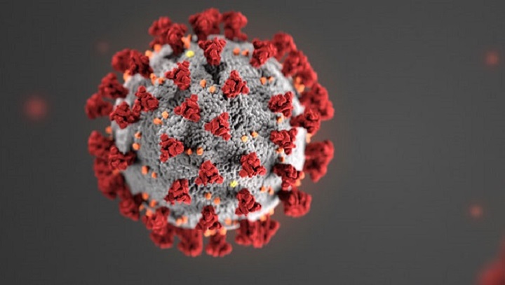 Antibody test for the coronavirus