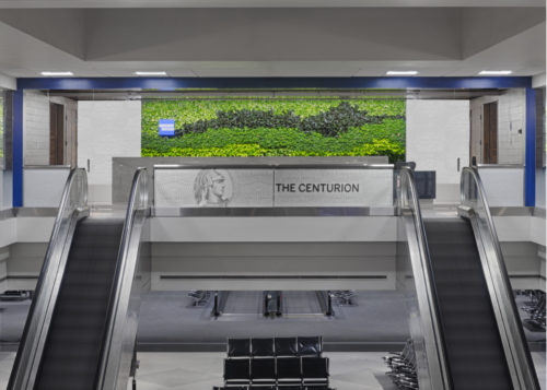 denver airport centurion lounge