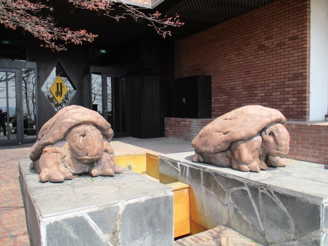 Grand Hyatt Seoul swimming pool welcome turtles