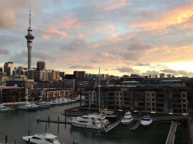 Auckland marina with boats in the water